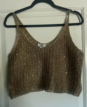 VICI Gold Mesh Crop Top thumbnail 1