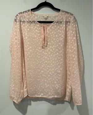 J Crew Top Women Small Swiss Dot Polka Dot Sheer Career Travel Twee Coquette thumbnail 1