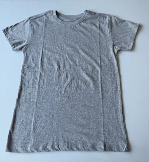 Youth Large 12–14 Gray T thumbnail 1