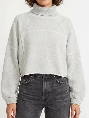 Aerie Large Gray New Heights Turtleneck Cropped Sweatshirt Funnel thumbnail 1