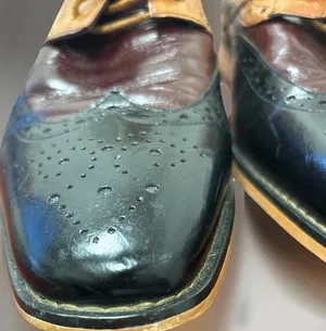 Stacy Adams Wingtip Oxford 9M TriColor Tinsley thumbnail 5