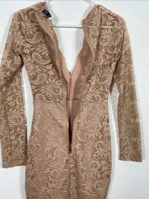 Windsor Long Sleeve Lace Bodycon Dress in Blush Size XS 90% Nylon thumbnail 7