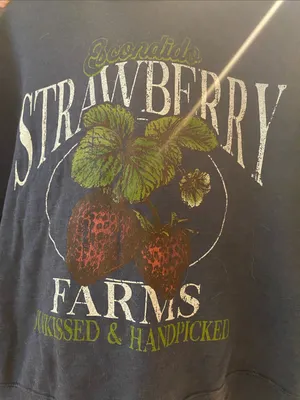 Arula Strawberry Farms Navy Crewneck Sweatshirt NWT 2X thumbnail 2
