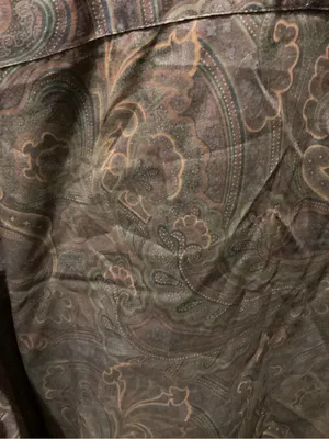 Ralph Lauren Plum and Brown Paisley Button-Up Shirt thumbnail 5