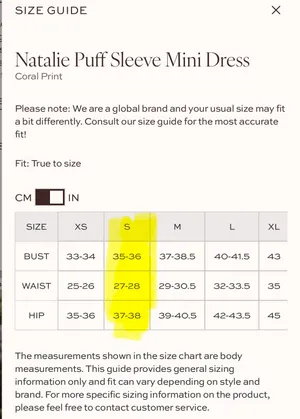 Petal & Pup Natalie Puff Sleeve Mini Dress thumbnail 6