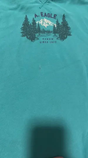 American Eagle Sweatshirt thumbnail 3