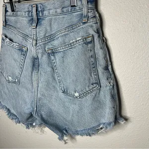 Agolde Light Wash Riley High Waist Cut Off Denim Short in Groove Size 24 thumbnail 8