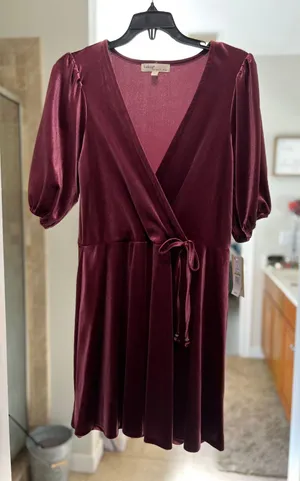 Bebop Wine Colored Velvet Dress thumbnail 1