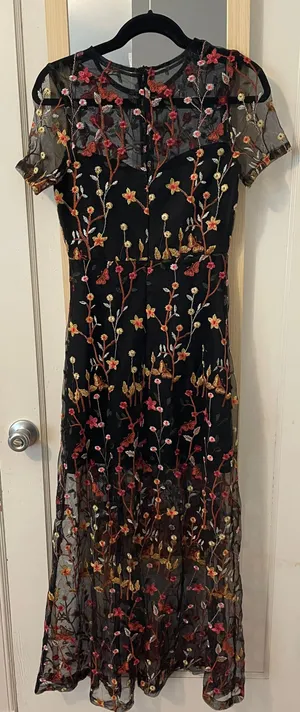 VICI Immeasurable Joy Embroidered Mesh Maxi Dress thumbnail 3