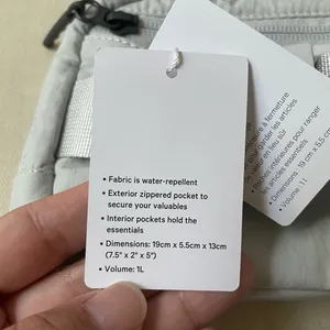 Lululemon Everywhere Belt Bag Ripstop - Silver Drop thumbnail 12