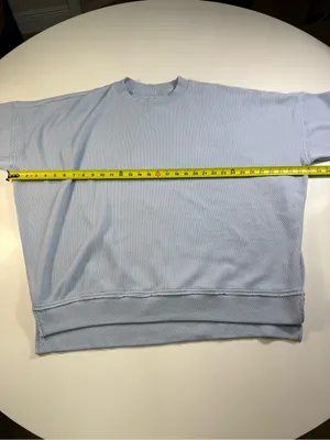 aerie Light Blue Crew Sweatshirt thumbnail 4
