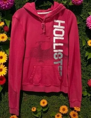Y2K Hollister Spellout Pink Hooded Pullover Comfort Collegiate Coastal Size M thumbnail 1