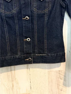 Harley-Davidson Women’s XS Denim Jacket Eagle Rhinestone Embroidered Moto thumbnail 8