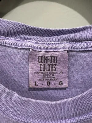 Comfort Colors Go Go Phi Mu Bid Day Tee thumbnail 4