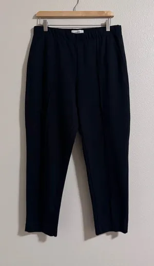 Everlane Black Elastic-Waist Dress Pants thumbnail 1