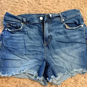 LOFT High-Waisted Raw Hem Denim Shorts Size 29 thumbnail 2
