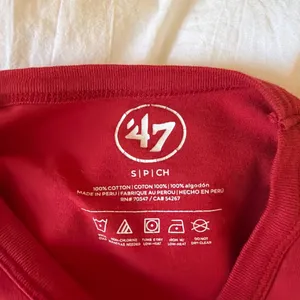 47 Phillies championship graffic t thumbnail 2