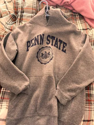 Penn State Hoodie Gray Size M thumbnail 1