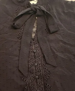 NWT ZARA sheer long sleeve with lace, casual shirt size XS thumbnail 2