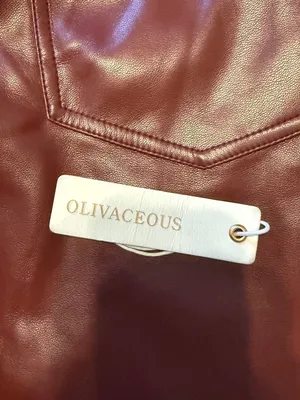 Olivaceous Faux Leather Mini Skirt in Burgundy thumbnail 5