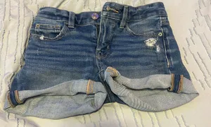 American Eagle Shorts thumbnail 1