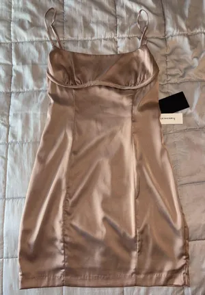 Francesca's Satin Mini Dress thumbnail 1
