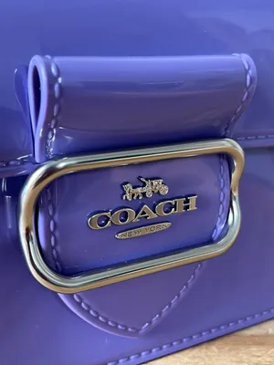 Coach Purse thumbnail 13