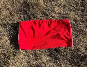 Aerie Red Tube Top thumbnail 1