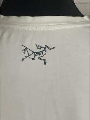 Arc'teryx Women's white mountain graphic short sleeve t-shirt Small gorpcore thumbnail 6
