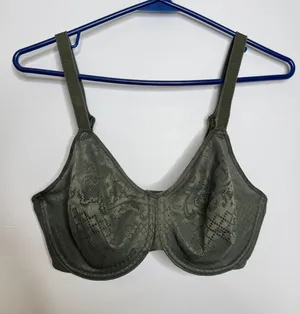 Wacoal Bra Womens 34DD Green Excellent Retro Chic Underwire Lace 857210 basics thumbnail 1