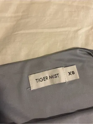 Tiger Mist Gray Sheer Strapless Top thumbnail 9