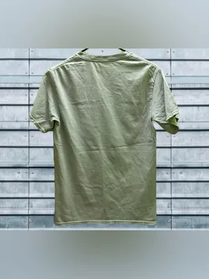 Billie Eilish Graphic Tee in Light Sage Green S thumbnail 2