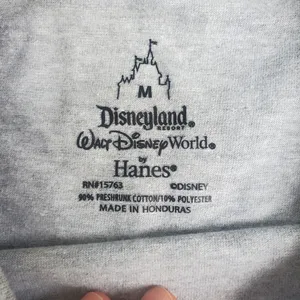 Hanes Gray Disneyland Long Sleeve Tshirt Size Medium Oversized Look thumbnail 3