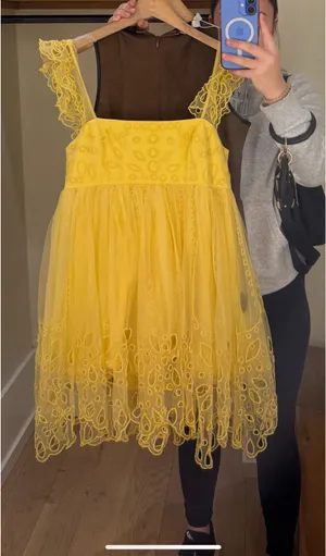 Anthropologie Let Me Be Eyelet Tulle Mini Dress thumbnail 2
