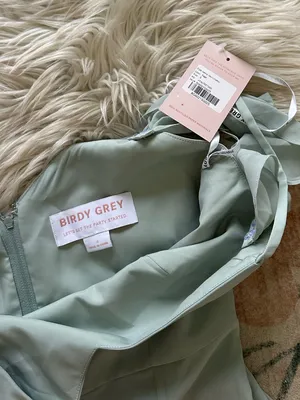 BIRDY GREY Devin Dress In Sage Chiffon thumbnail 6