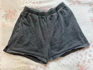 PacSun Sweatshorts thumbnail 1