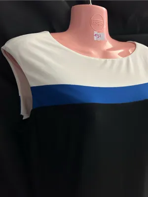 Ralph Lauren Women's Black A-Line Dress Blue & White Stripes SZ 10 thumbnail 4