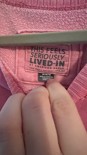 American Eagle Crewneck Sweatshirt thumbnail 2