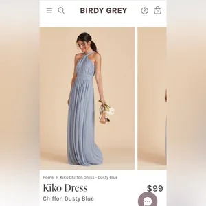 Birdy Grey bridesmaid dress thumbnail 2