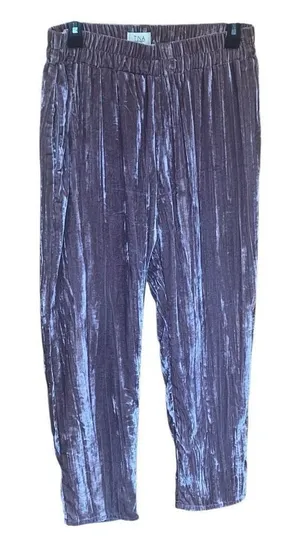 Tina Jo Anthropologie Pink Velour Straight Leg Pants Small #778 thumbnail 1