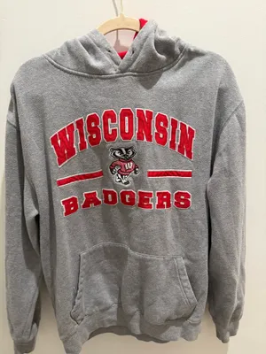 university of wisconsin hoodie thumbnail 1