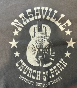 Brandy Melville Nashville  Cropped Tee thumbnail 2