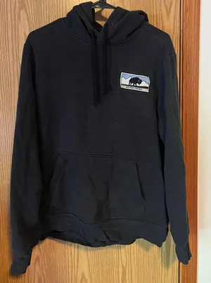The North Face Hoodie thumbnail 1