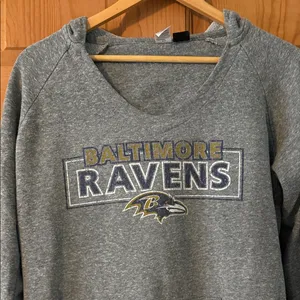 NFL Baltimore Ravens Football Team Size Large Gray Hoodie Unisex Sweatshirt thumbnail 3