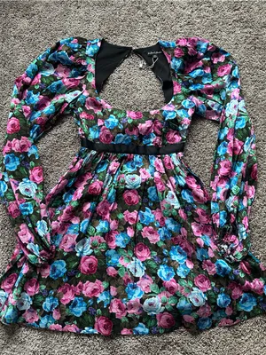 For Love & Lemons Long-Sleeve Floral Mini Dress - Pink, Blue & Green Roses thumbnail 1
