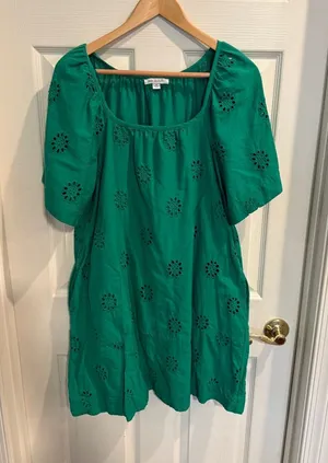 Green Eyelet Mini Dress by Free Assembly thumbnail 1