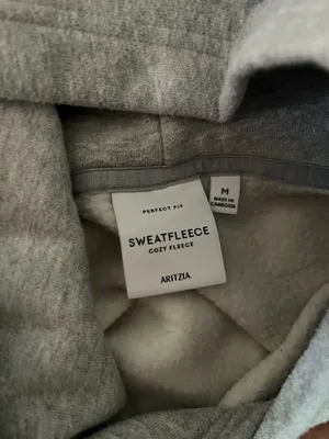 Aritzia Cozy Fleece Perfect Hoodie grey thumbnail 3