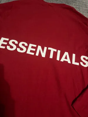 Essentials Boxy Graphic Long Sleeve T-shirt thumbnail 5