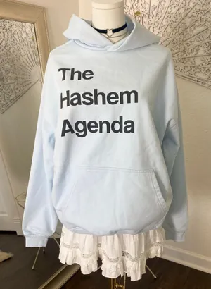New Baby Blue "The Hashem Agenda" hoodie Sweater Size S Unisex thumbnail 1
