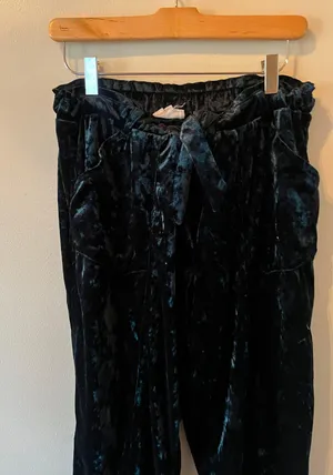 Velvet Paperbag Pants thumbnail 2